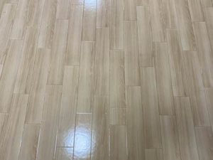 フォーレス望 A101号-13