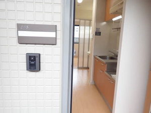 パステロ 0205号-3