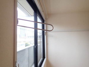 パステロ 0205号-9