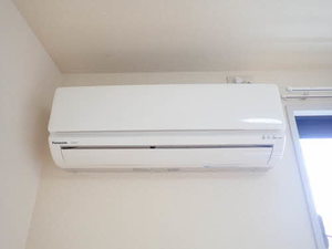 パステロ 0205号-10