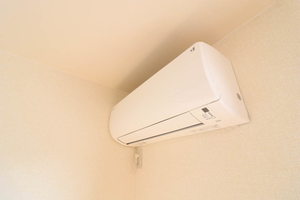 スイレン A101号-11