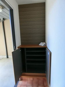 Millennium Star 0102号-3