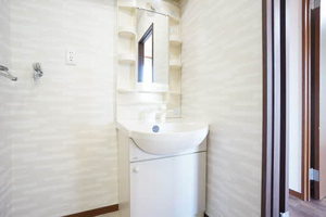 ディアス篠木 0205号-8