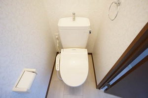 ディアス篠木 0205号-10