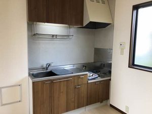 ディアス　ミレニアム 0101号-5