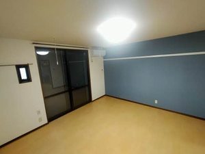 アイリスハイツ 0101号-9