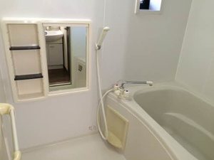 アイリスハイツ 0205号-5