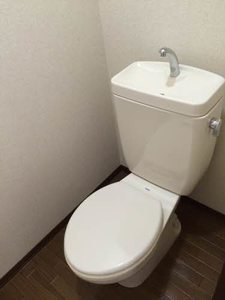 アイリスハイツ 0205号-6