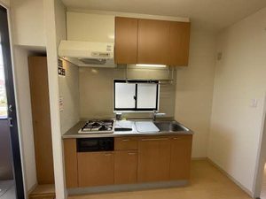 フィットヒルＢ 0203号-4