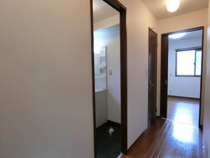 アヴァンツァーレ 0201号-3