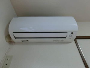 アヴァンツァーレ 0201号-15