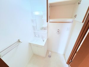 メゾンデュシーニュ B203号-12