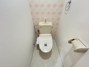 Ｃｉｔｙ　Ｈｔｓたちばな 002D号-12