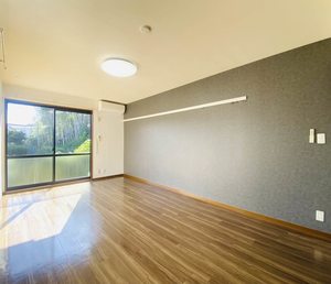 ディアス有賀 0105号-3