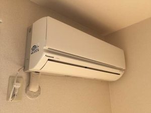 グリーンパストラル C102号-6