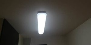 ラピス 0105号-10