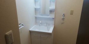 ラピス 0105号-14