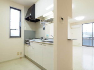 チェリーコート 0201号-3