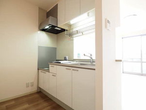 チェリーコート 0202号-3