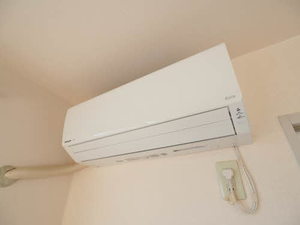 チェリーコート 0202号-12