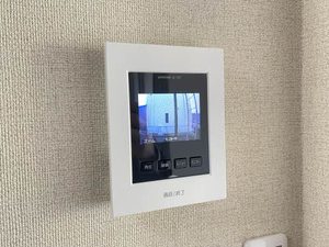 ＭＥＲＶＥＩＬＬＥ　Ｙ２ 0101号-8