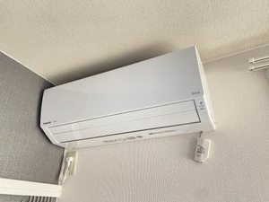 ＭＥＲＶＥＩＬＬＥ　Ｙ２ 0101号-9