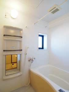 ミレニアムタウン２０００ B201号-9