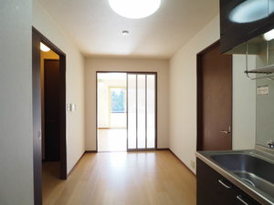 ミレニアムタウン２０００ D101号-3