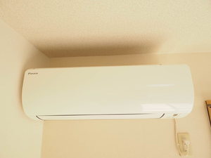 ミレニアムタウン２０００ D101号-15