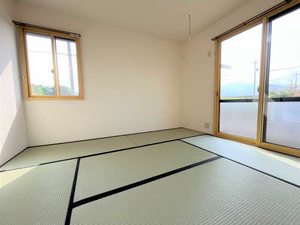 ミレニアムタウン２０００ D102号-8