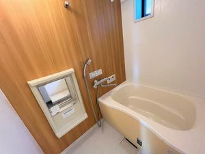 ミレニアムタウン２０００ D102号-13