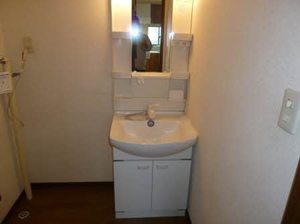 ディアスウインドウ 0101号-8