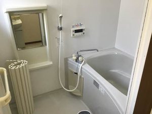 フォーレスしらかば C101号-8