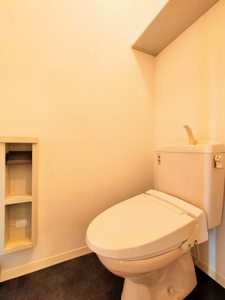 エスペランス三河 A102号-11