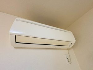 クラヴィエＨＡＲＵ 0204号-6