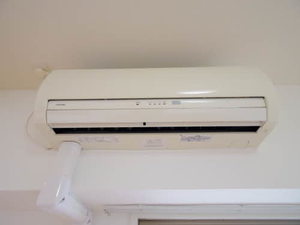 Ｙ’ｓ　ｃｏｕｒｔ 0402号-8