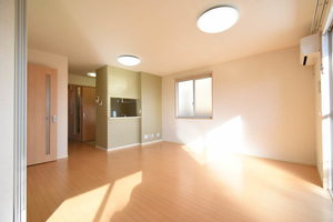 ヴィルトローゼン 0201号-2