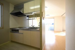 ヴィルトローゼン 0201号-3