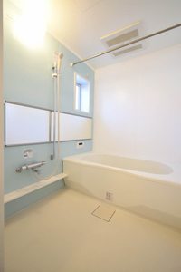 ヴィルトローゼン 0201号-6