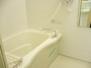 メゾン・ド・リッツ弐番館 B106号-11