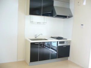 メゾン・ド・リッツ壱番館 A101号-6