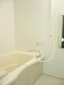 メゾン・ド・リッツ壱番館 A101号-9