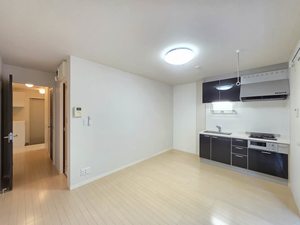 メゾン・ド・リッツ壱番館 A102号-2