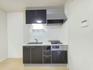 メゾン・ド・リッツ壱番館 A102号-4