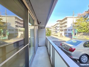 メゾン・ド・リッツ壱番館 A102号-10