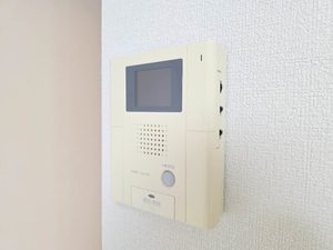 メゾン・ド・リッツ壱番館 A102号-11