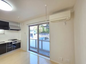 メゾン・ド・リッツ壱番館 A102号-12