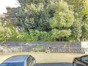 メゾン・ド・リッツ壱番館 A102号-13