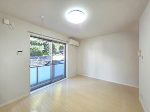 メゾン・ド・リッツ壱番館 A102号-14