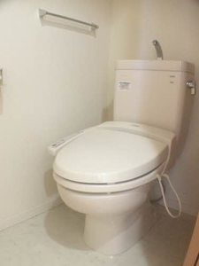 ヴェルドミールツジ 0201号-3